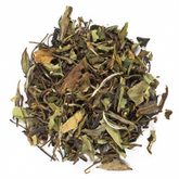Mango White Tea